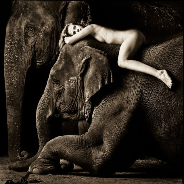 The Elephant Girl